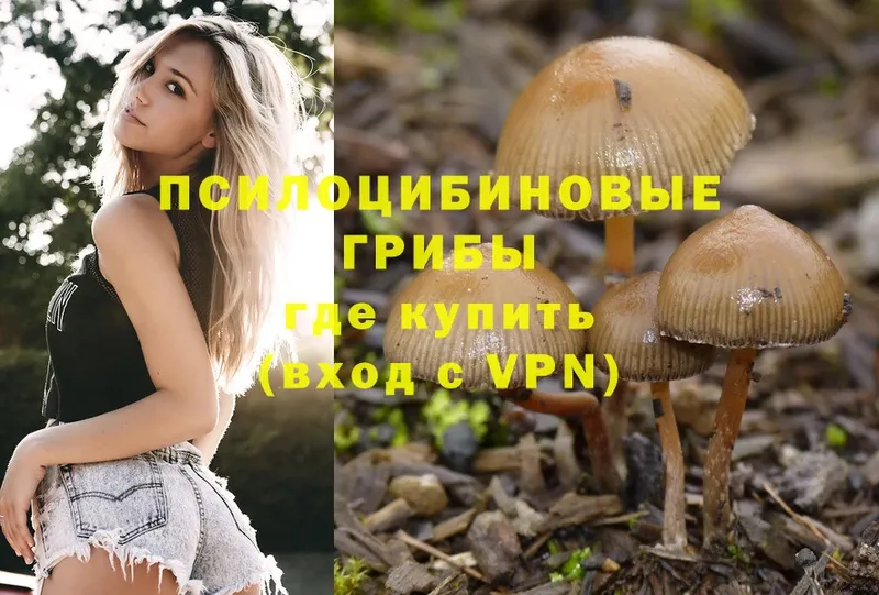 Галлюциногенные грибы Psilocybine cubensis  где продают   Серпухов 